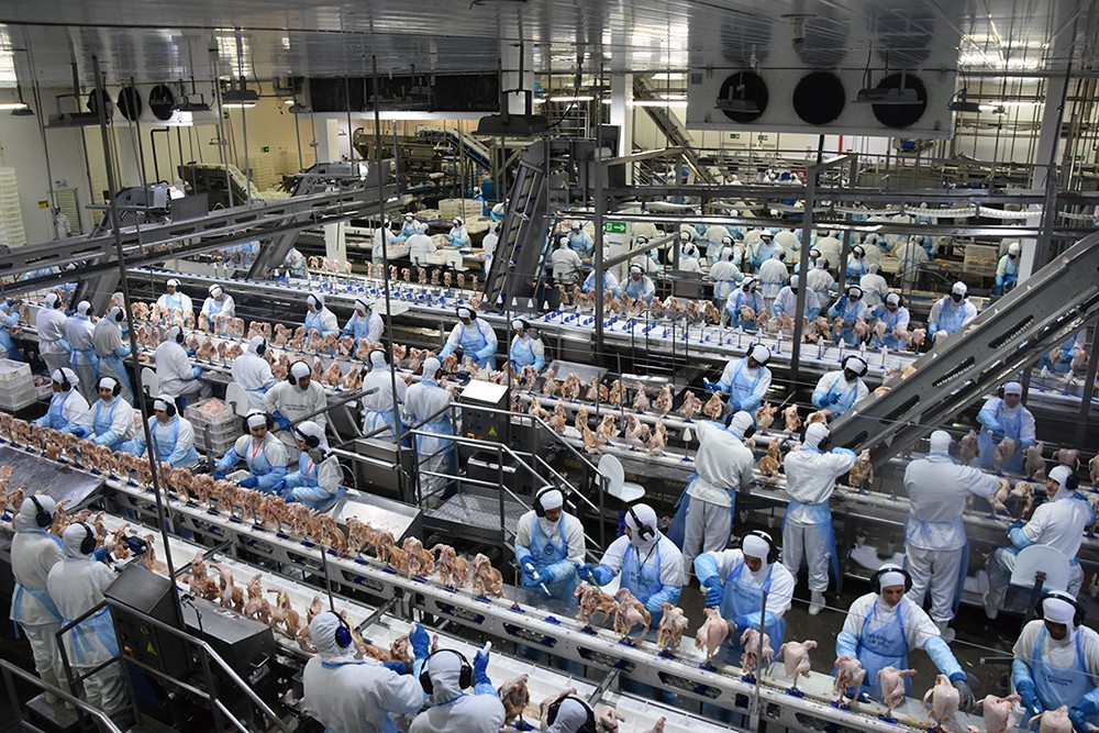 Exportação de industrializados registra US$ 585,2 milhões em agosto