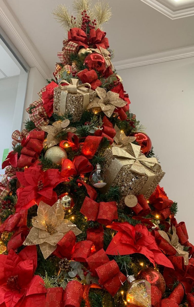 Decoração de Natal: seus enfeites luminosos estão instalados com segurança?