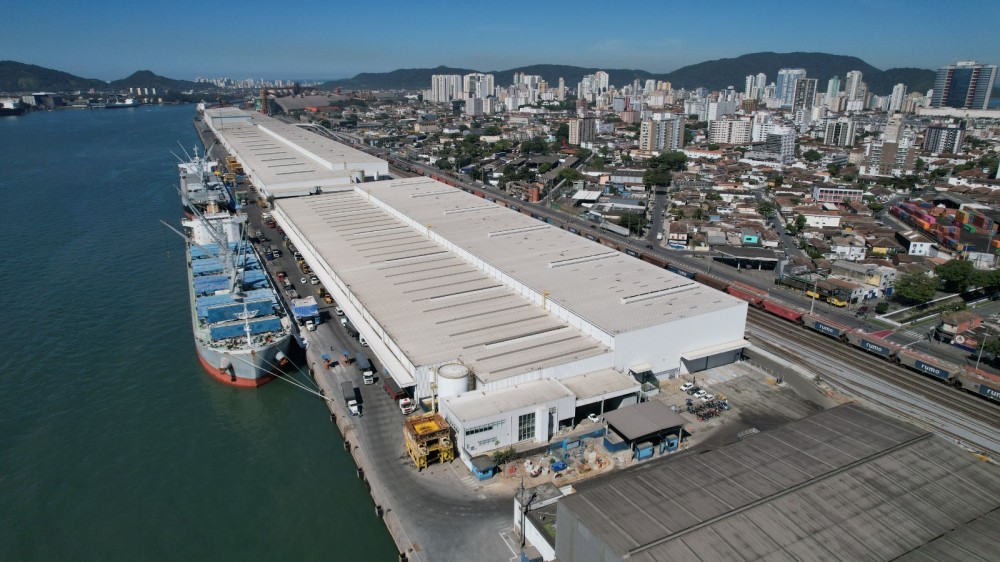 Suzano bate recorde com 5,8 milhões de toneladas de celulose embarcadas no Porto de Santos
