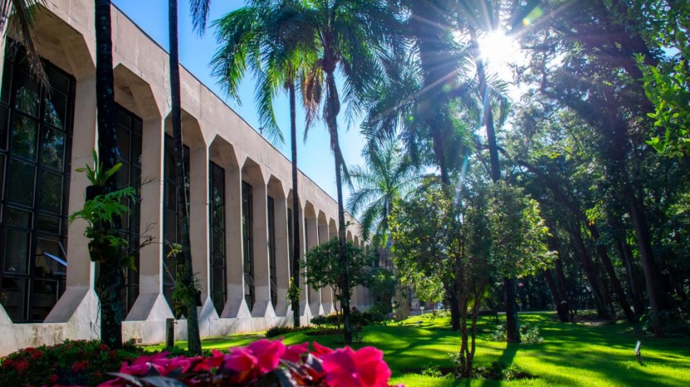 Tribunal Pleno aprecia 383 processos