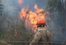 Operação Pantanal Bombeiros de MS lutam para conter grandes chamas na região do Nabileque