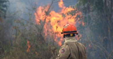 Operação Pantanal Bombeiros de MS lutam para conter grandes chamas na região do Nabileque