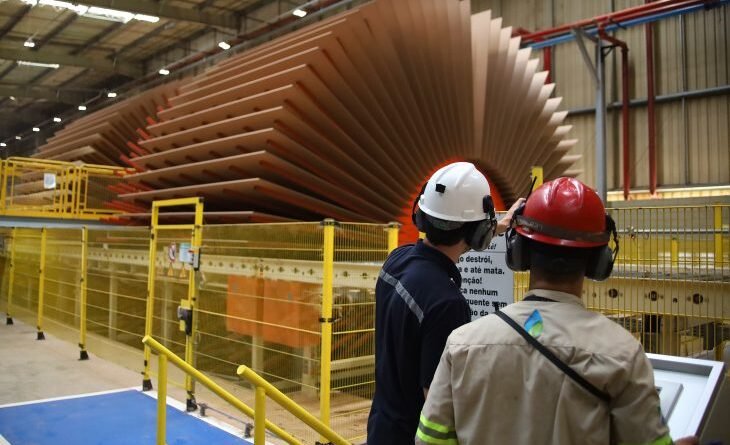 Destaque nacional na geração de empregos MS abre oportunidades para quem busca um lugar ao sol