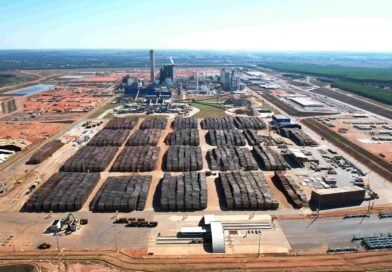 Suzano oferece cinco oportunidades de emprego para Três Lagoas e Ribas do Rio Pardo (MS)