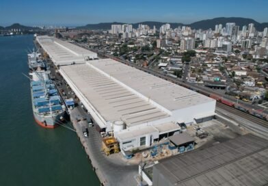 Suzano bate recorde com 5,8 milhões de toneladas de celulose embarcadas no Porto de Santos