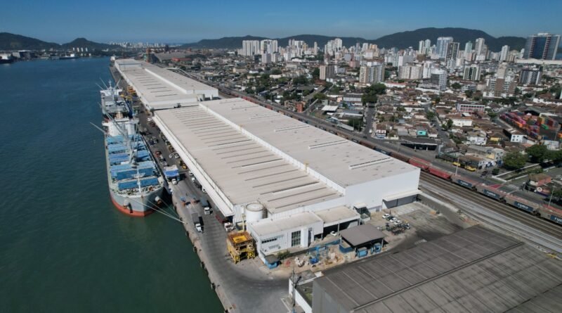 Suzano bate recorde com 5,8 milhões de toneladas de celulose embarcadas no Porto de Santos