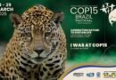 COP15 em Campo Grande de ave a 320 km/h à agenda global ambiental