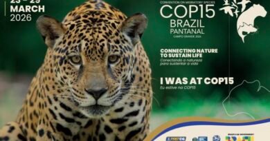 COP15 em Campo Grande de ave a 320 km/h à agenda global ambiental