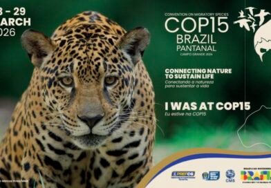 COP15 em Campo Grande de ave a 320 km/h à agenda global ambiental