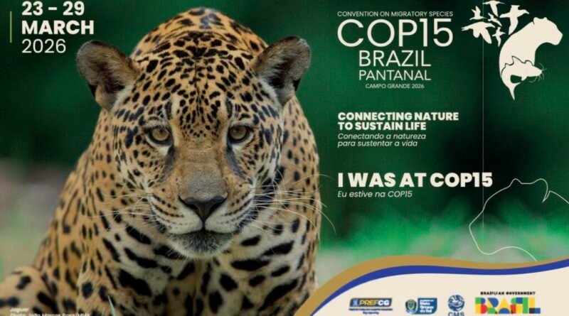 COP15 em Campo Grande de ave a 320 km/h à agenda global ambiental