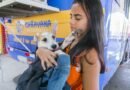 Caravana da Castração chega a Campo Grande com 1,7 mil vagas gratuitas para cães e gatos