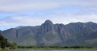 Programa destina mais de R$ 6,1 milhões para projetos de preservação do Pantanal