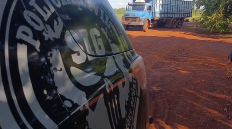 Polícia Civil prende homem por receptação e recupera 14 cabeças de gado furtadas em Fátima do Sul