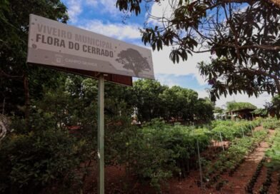 COP15 deixará legado verde com criação de bosque em Campo Grande