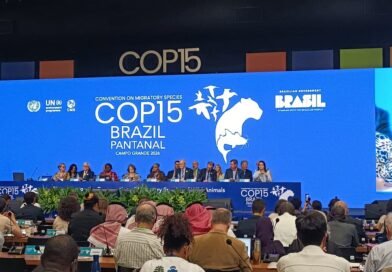 Fiems participa da abertura da COP15 em Campo Grande primeira edição do evento no Brasil