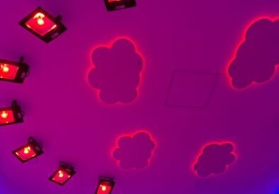 Expogrande 2026 promove inclusão e cidadania com serviços sociais e espaços sensoriais