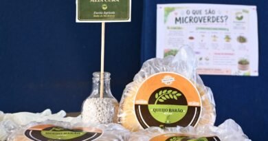 Festa do Queijo ganha reforço de alunos com produção de mil peças