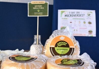Festa do Queijo ganha reforço de alunos com produção de mil peças