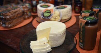 Lançamento da Festa do Queijo acontece nesta quarta-feira na Expogrande