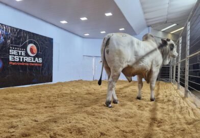 Expogrande 2026 bate recorde e movimenta R$ 854,5 milhões