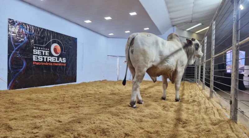 Expogrande 2026 bate recorde e movimenta R$ 854,5 milhões